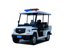沈阳观光车
